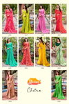 Chitra By Stavan Chiffon Embroidery Work Saree